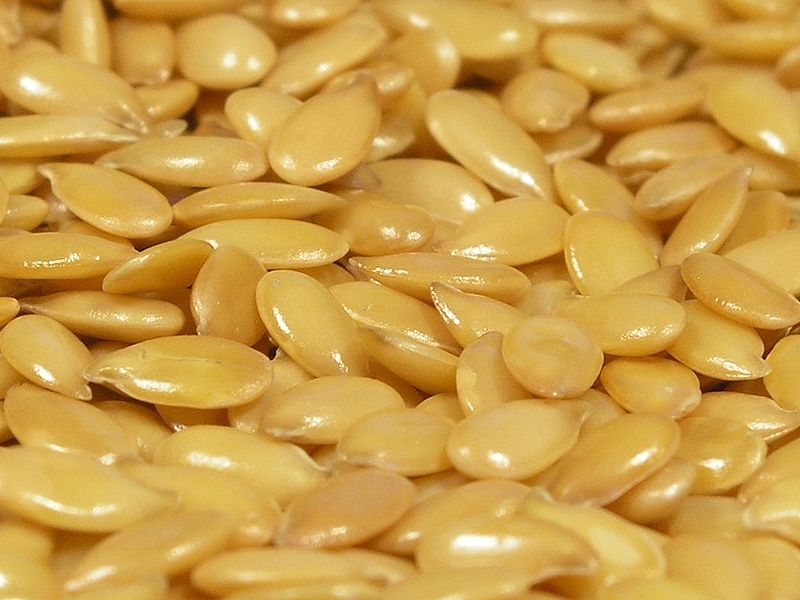 Flax seeds are rich in omega 3 fatty acids